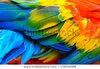 close-scarlet-macaw-birds-feathers-450w-579248998.jpg