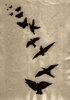 flying_birds_by_yurgyta-d4rjdyu.jpg