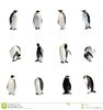 colección-de-los-pingüinos-4654969.jpg