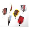 Capas Headwear Assorted Side Feather 6 Pack 354201 2609_LRG.jpg