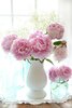 shabby-chic-cottage-romantic-pink-white-peonies-in-window-romantic-peonies-decor-kathy-fornal.jpg