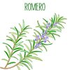 romero_p.jpg