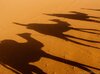 sombras-en-la-arena-del-desierto_P1020529_1200px.jpg