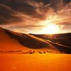 10x10ft-nubes-oscuras-puesta-del-sol-cielo-naranja-desierto-de-arena-duna-escena-fotograf-a-de.jpg