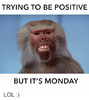 trying-to-be-positive-but-its-monday-happy-meme.png