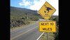 señal-patos-cruzando-Hawaii.jpg