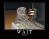 wait_fix_it_kitten.jpg