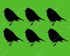 depositphotos_24972155-stock-illustration-sparrows-on-a-green-background.jpg