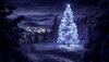 night_Christmas-6997.jpg