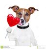 lamedura-del-perro-del-corazón-del-lollipop-de-la-tarjeta-del-día-de-san-valentín-27391756.jpg