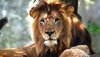leon-zoo-indianapolis-reuters.jpg