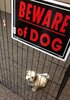 20-perros-increiblemente-peligrosos-junto-a-sus-carteles-de-cuidado-con-el-perro-1476960373.jpg