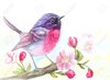 77109975-pájaro-de-acuarela-sentado-en-rama-de-árbol-de-flores-de-flor.jpg