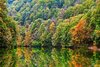 16440828-bosque-lago-mañana-en-otoño-hungría-lake-hamori-.jpg