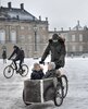 4327DB5100000578-4780804-Princess_Mary_is_captured_on_her_bike_at_the_Palace_in_Copenhage-a-16...jpg