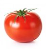 tomate-cana-andaluz.jpg