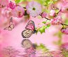 Flowering_trees_Butterflies_Water_Branches_548388_1228x1024.jpg