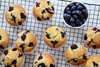 blueberry-muffins10.jpg