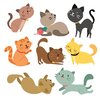 coleccion-gatos-color_1096-252.jpg