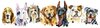 114047627-cute-border-from-watercolor-portraits-of-dogs-for-t-shirt-graphics-watercolor-dogs-i...jpg