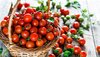 Branded_Content-Marcas_destacadas-Huerto-Tomate-Jardineria-Amazon-Los_Imprescindibles_46896507...jpg
