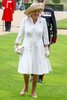 Duchess-Camilla-Wide-Brimmed-Hat-Promo.jpg