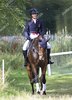 cornbury-international-horse-trials-oxfordshire-uk-shutterstock-editorial-10774618j.jpg