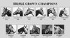 triple_crown_horses.jpg