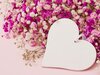 tsvety-fon-rozovyi-pink-flowers-love-heart-romantic-serdtse.jpg