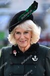 camilla-duchess-of-cornwall-attends-92nd-field-of-remembrance-at-westminster-abbey-london-uk-s...jpg