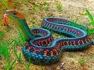 serpiente-colores-1.jpg