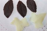 hojas de chocolate 3.jpg