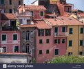pink-houses-and-green-windows-in-camogli-portofino-liguria-italy-DCAJ3M.jpg