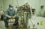 Un cirujano cardíaco después de una cirugía exitosa de un trasplante de corazón que se llevó a...jpg