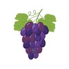 racimo-uvas-vino_74669-60.jpg