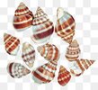 transparent-sea-snail-shells-png-clipart-5a3b8d0faafae6.1130524215138521757004.jpg