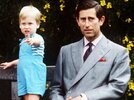 Prince William & Prince Charles.jpg