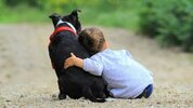 Un-neuropediatra-recomienda-los-beneficios-de-las-terapias-con-perros-para-niños-con-TDAH.jpg