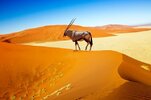 Namibia-Cuando-viajar.jpg