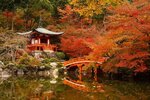 otoño-en-Japón.jpg