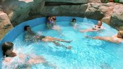 piscinas-particulares-beneficio-economico-instalaciones_1379872113_103467652_667x375.jpg