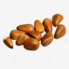 pngtree-eleven-plump-and-round-nut-pine-nuts-png-image_2482419.jpg