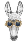 depositphotos_456467436-stock-photo-portrait-of-donkey-vintage-sunglasses.jpg