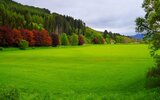 1920x1200_beautiful-scenery-green-orange-red-trees-and-green-grass-field-under-white-clouds-sk...jpg