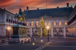 paleis-noordeinde-voorplein-met-kerstboom-verlicht-2021.jpg