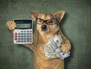 el-perro-sostiene-calculadora-y-dinero-hombre-de-negocios-perros-con-anteojos-una-un-admirador...jpg