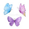 tres-mariposas-de-la-acuarela-azules-y-púrpuras-dos-142598877.jpg
