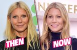 gwyneth-paltrow-plastic-surgery-before-after-shocking-freaky-face-pp-1.jpg
