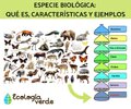 especie_biologica_que_es_caracteristicas_y_ejemplos_2634_orig.jpg
