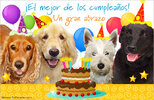 25417-3-tarjeta-de-cumpleanos-con-perros.jpg